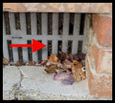 Rodent Entry Points